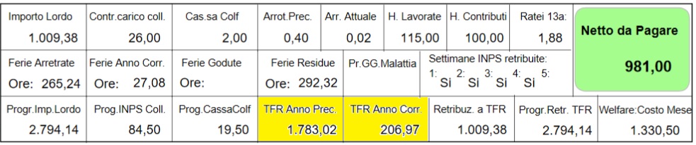 contatore tfr colf e badanti contatore tfr colf e badanti